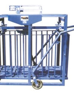 Weighbridge for swine w/ capacity 1,5 ton (2,50X4)